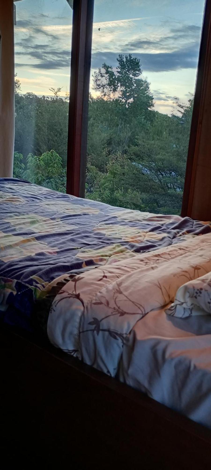 Hostal Quillelhue Pucón Dış mekan fotoğraf